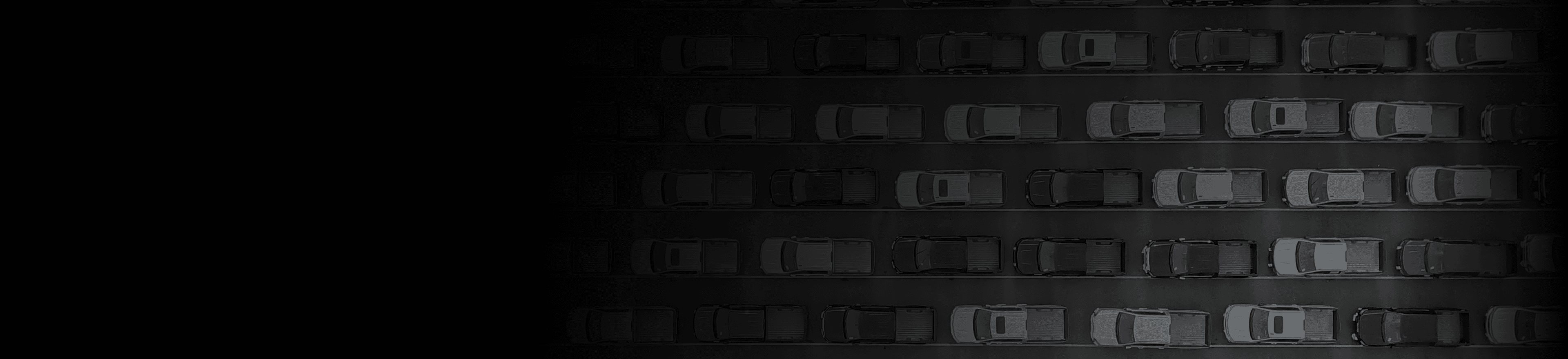 catalog-banner-background